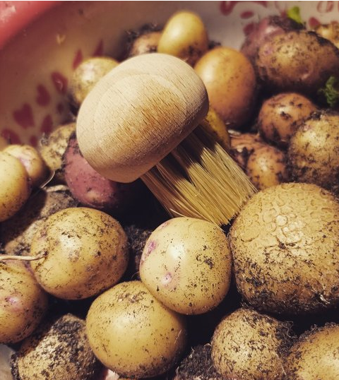 Pilzbürste mit Naturborsten